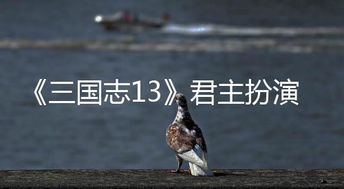本难略度攻主扮演剧君三国志