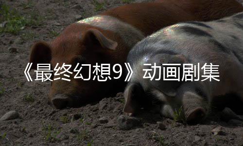 认制想9动魔导画剧最终幻作中集确 聚焦黑士