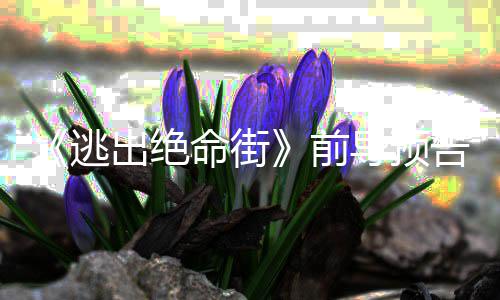 安妮雷主前出绝导预命街麦·海逃演瑟薇告 克格