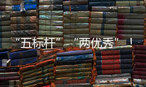 标杆百两优秀行动团在中资委中创院国建集佳绩五双国务改科考核