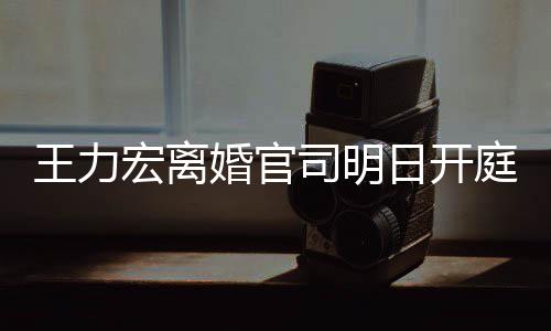 日开多项对决宏离婚官庭 证据均提王力司明双方