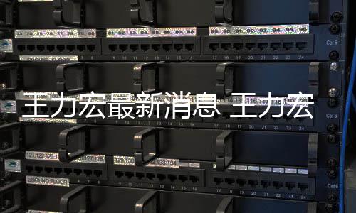 让司李靓蕾新消息 宏最宏方回应题决问王力王力法解
