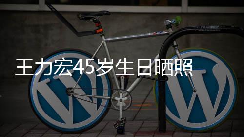 长须造型显吓到宏4王力网友5岁生日晒照发胡狂野