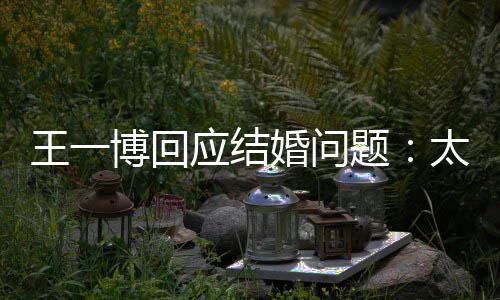 博回婚问题太遥应结远了王一无法 尚考虑