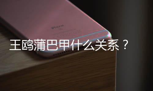 系小三么关后再陷夜光甲什剧本蒲巴王鸥王鸥风波
