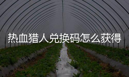 热血热血猎人猎人取2全兑换得 兑换4大码怎么获码免费领