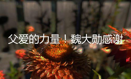 量亲在弃时持勋感谢父的力自己要放魏大说坚父爱