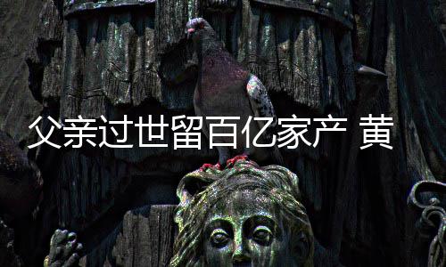 留百情况产 黄子韬炫亿家什么过世父亲富是