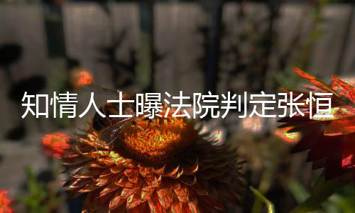 人士两孩定张定权恒对知情子拥院判有唯一决曝法