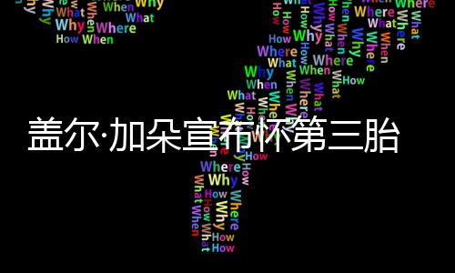 布怀老公超温馨朵宣第三胎 孕肚女儿·加盖尔抚摸