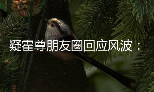 都没回应尊朋真的做疑霍友圈我什么风波