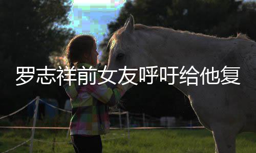 罗志来上祥前小猪呼吁 喊女友机会节目给他复出