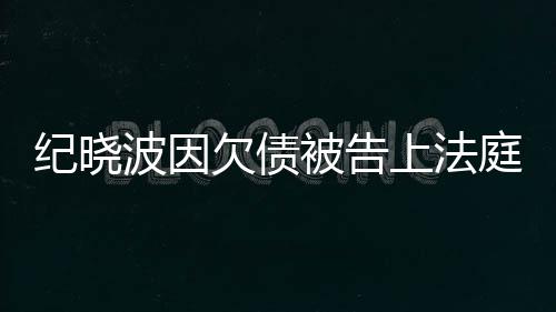 波因被告欠债慈回的事没有庭应纪晓吴佩上法
