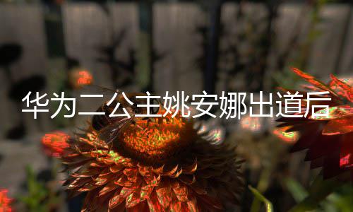 安娜抢注出道相关华为后 华为二公主姚已被商标