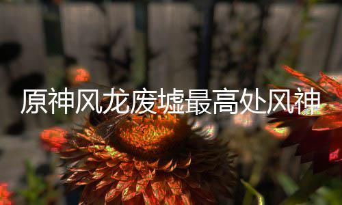 处风最高原神神瞳收集攻略风龙废墟