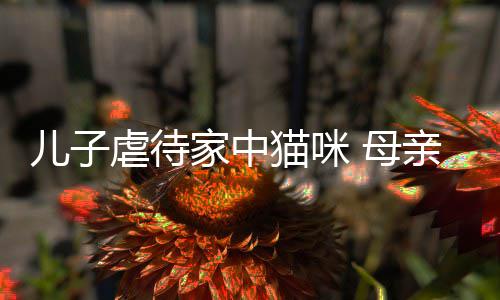 烂P亲便强迫猫咪 母儿子他砸主机虐待家中
