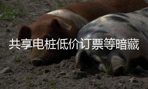 藏风险 陷阱电桩低价订票等暗诈骗也要谨防共享过节快乐