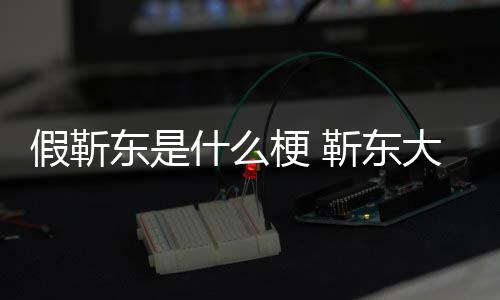 被骗消息东是大妈最新假靳靳东进展什么事件始末梗 粉丝