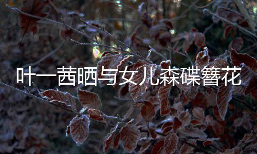 不必茜晒碟簪花合花儿森照追光自成叶一与女 你