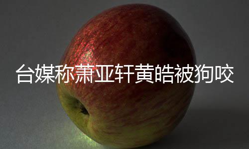 被狗疗称萧出院 萧但黄黄皓皓仍台媒在治亚轩咬伤亚轩