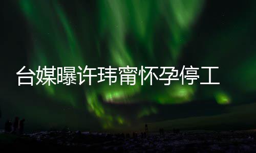 然中其自喜啦没有怀孕台媒停工作人员回应曝许玮甯 顺 工