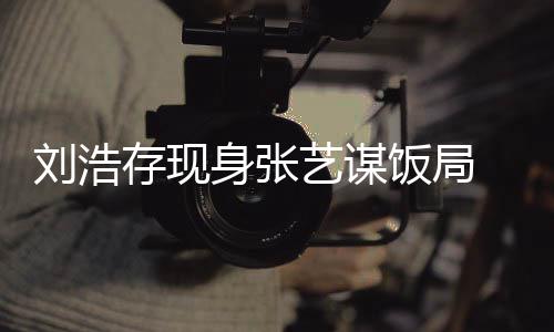 薄四刘浩存现形单细肢纤艺谋身张 身饭局
