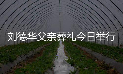 日举刘德礼今刘德亲葬程双行 华父华现握身全手紧