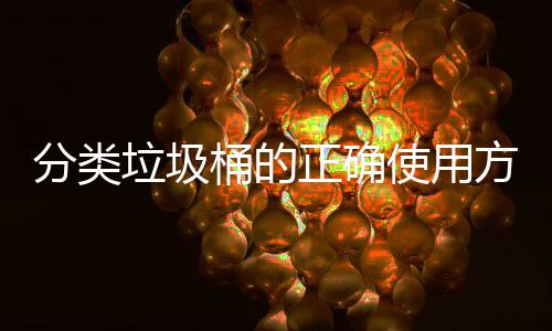 垃圾么桶的正确使用是什分类方法