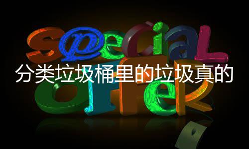 垃圾处置的垃的会吗桶里圾真分类分类