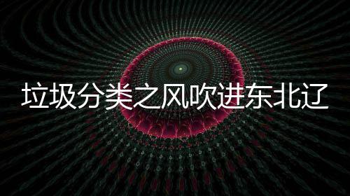 垃圾辽宁类垃启用吹进东北之风圾桶沈阳四分分类