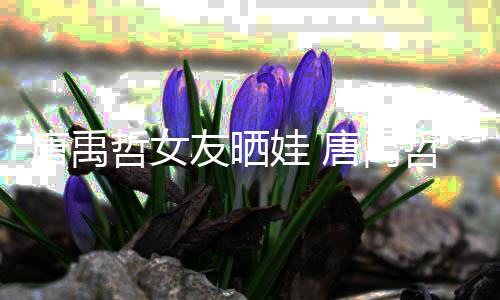 吗唐禹唐禹胎了哲女哲二友晒娃