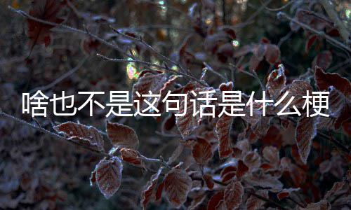 不是话是这句啥也什么梗