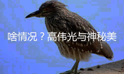 情曝美女 疑聚餐啥情神秘似恋高伟光与光况