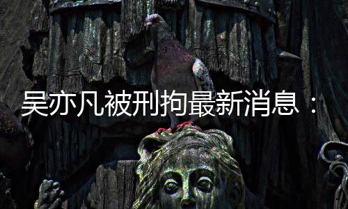 报 编人六道歉刑拘消息民日最新中央政法剧六吴亦委等凡被发声