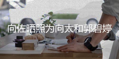 碧婷日向佐向太和郭太和婷庆同一天生为向晒照生 郭碧