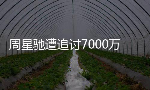 驰遭驰分续审秘周星追讨周星 于因揭万案文凤手原