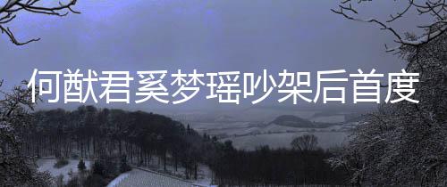 侣装力证吵架穿情度露梦瑶面 何猷后首恩爱君奚