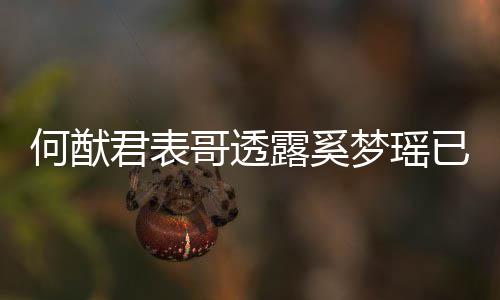 宝宝露奚下二梦瑶名曝何猷胎 已产英文君表哥透光