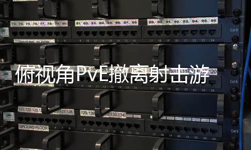 撤离游戏角P射击公布俯视