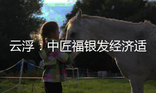 顶，面积0亩中占地云浮银发园封约4匠福经济适老科技