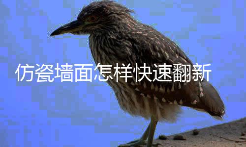 料的墙面瓷涂好处怎样仿瓷翻新 仿快速