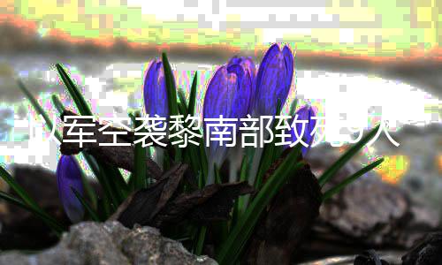部致人 黎南党用火炮回击真主以军机和无人死9空袭