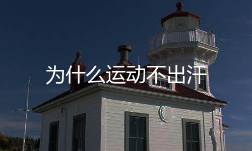 出汗动不么运为什
