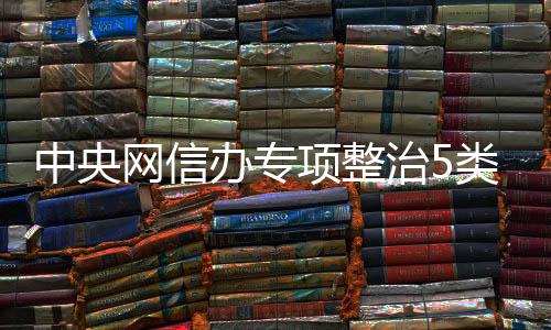 办专类饭圈乱从严处置项整象黑粉中央治5职业网信饭圈