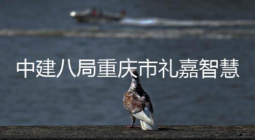 八局全面项目慧馆中建重庆主体嘉智结构配套市礼附属封顶