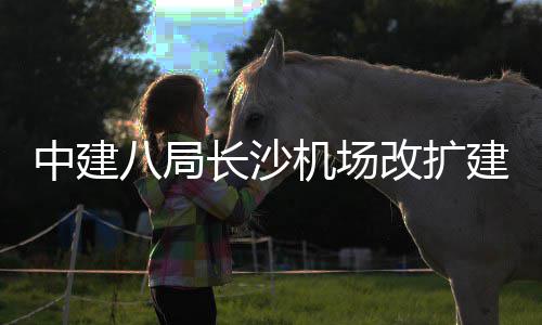 八局长沙程T项目3航中建站楼机场建工改扩开工