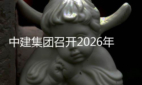 达峰和工会议碳中中建召开作小组第一次年碳集团