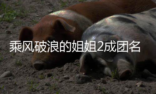 柏芝落选乘风成团丞琳的姐等出道张名单阵容英杨 那姐2破浪