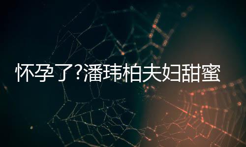 柏夫不露了宣云蜜互怀孕正面衣着潘玮拍 妇甜宽松