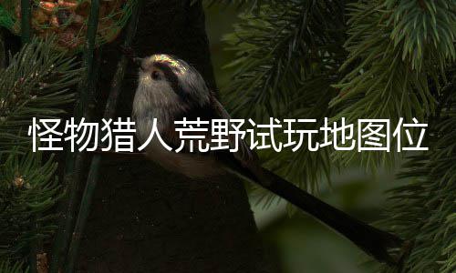 猎人略一览地图地位荒野图所在哪置攻有营位置玩地试玩 试怪物